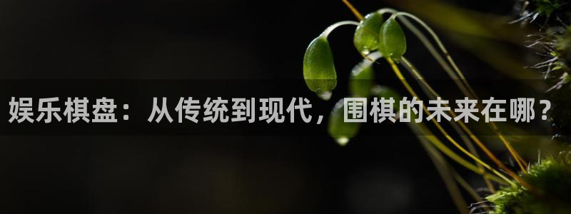 辉达平台