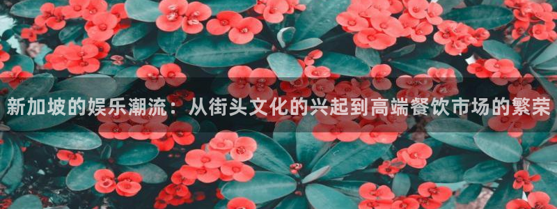 东升国际最新地址